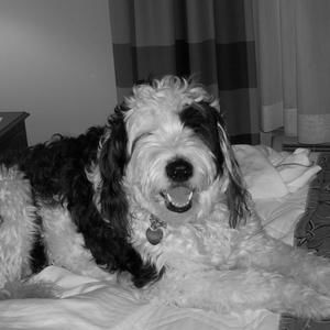 Meet your Posher, Sally